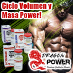 Excelente ciclo para incremento de masa y volumen muscular.